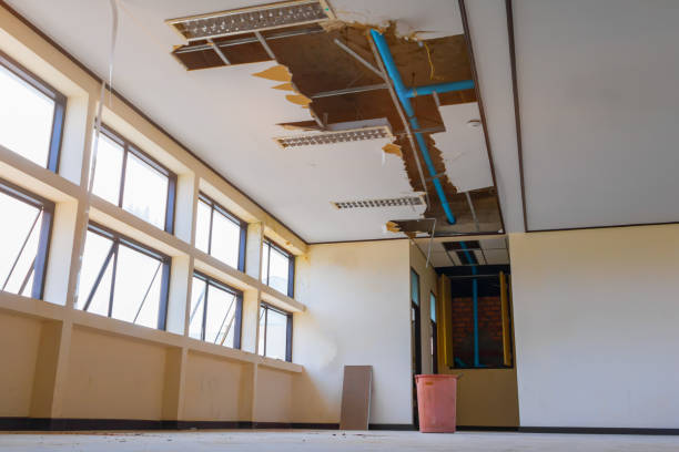 Best Carpet water damage restoration  in Franklinville, NJ
