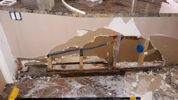 Best Professional water damage repair  in Franklinville, NJ