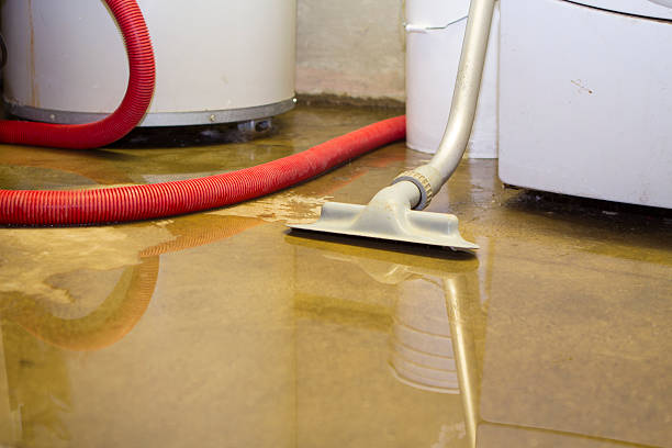 Best Flood restoration services  in Franklinville, NJ
