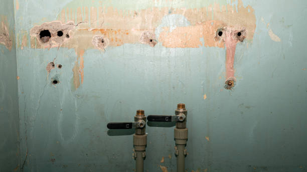 Best Water damage restoration process  in Franklinville, NJ