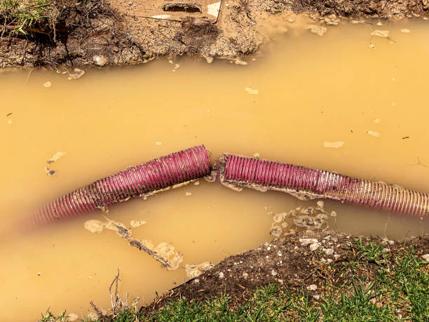 Professional Water damage restoration in Franklinville, NJ