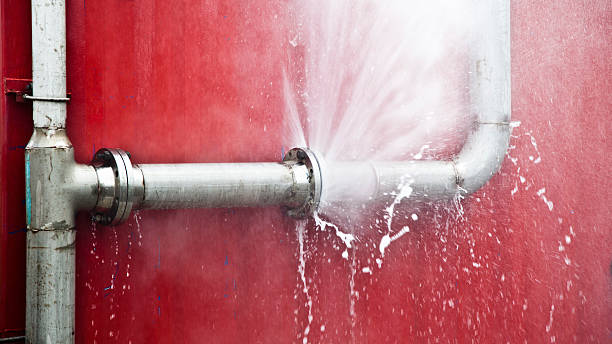 Best Water damage restoration near me  in Franklinville, NJ